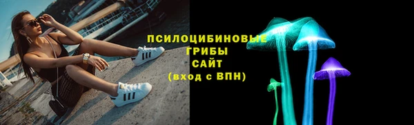 дурь Арсеньев