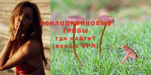 дурь Арсеньев